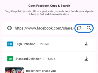 Pasting a Facebook link into the app's search box