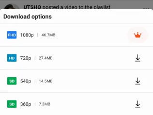 The download options sheet listing 1080p, 720p, 540p and 360p with file sizes