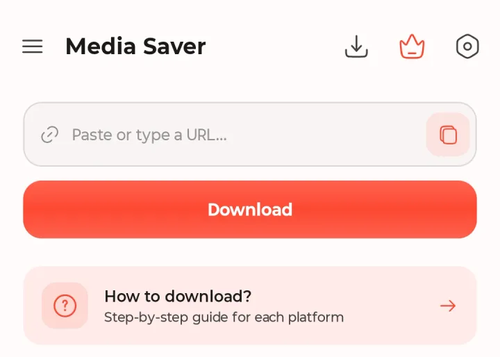 Pasting a link into Media Saver's link box on the Home tab
