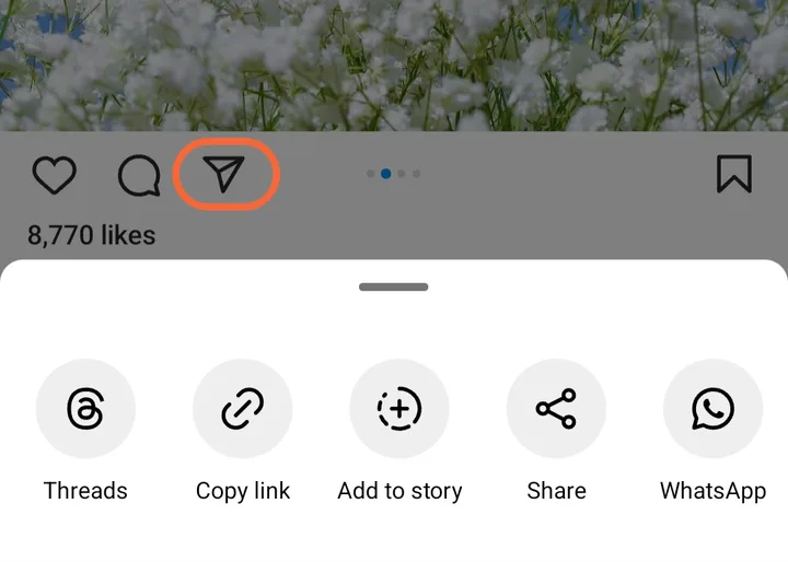 The share icon under an Instagram reel