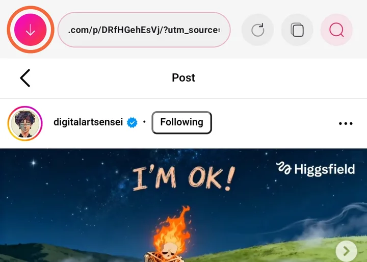 The download option in InSaver's browser header bar