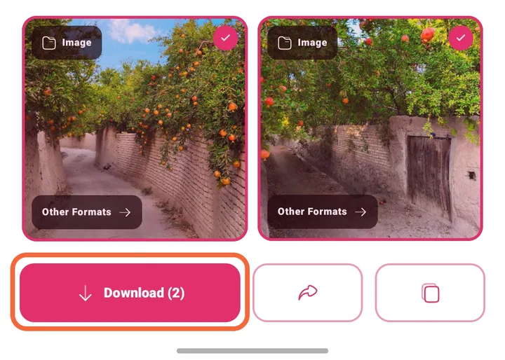 InSaver's media chooser showing two selected images and a Download (2) button