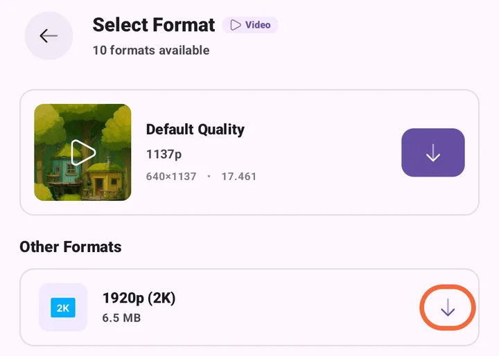 The Other Formats list showing available resolutions